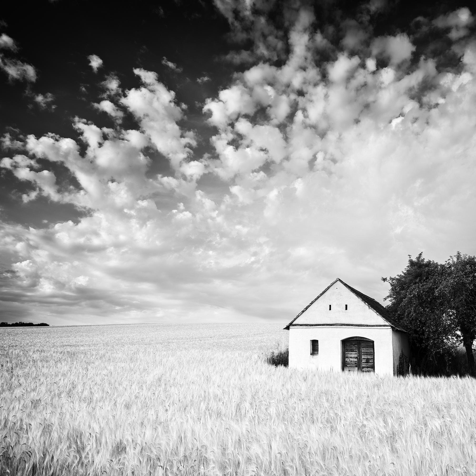 Maison du pressoir, champ de maïs, photographie en noir et blanc, tirage en édition limitée en vente 5