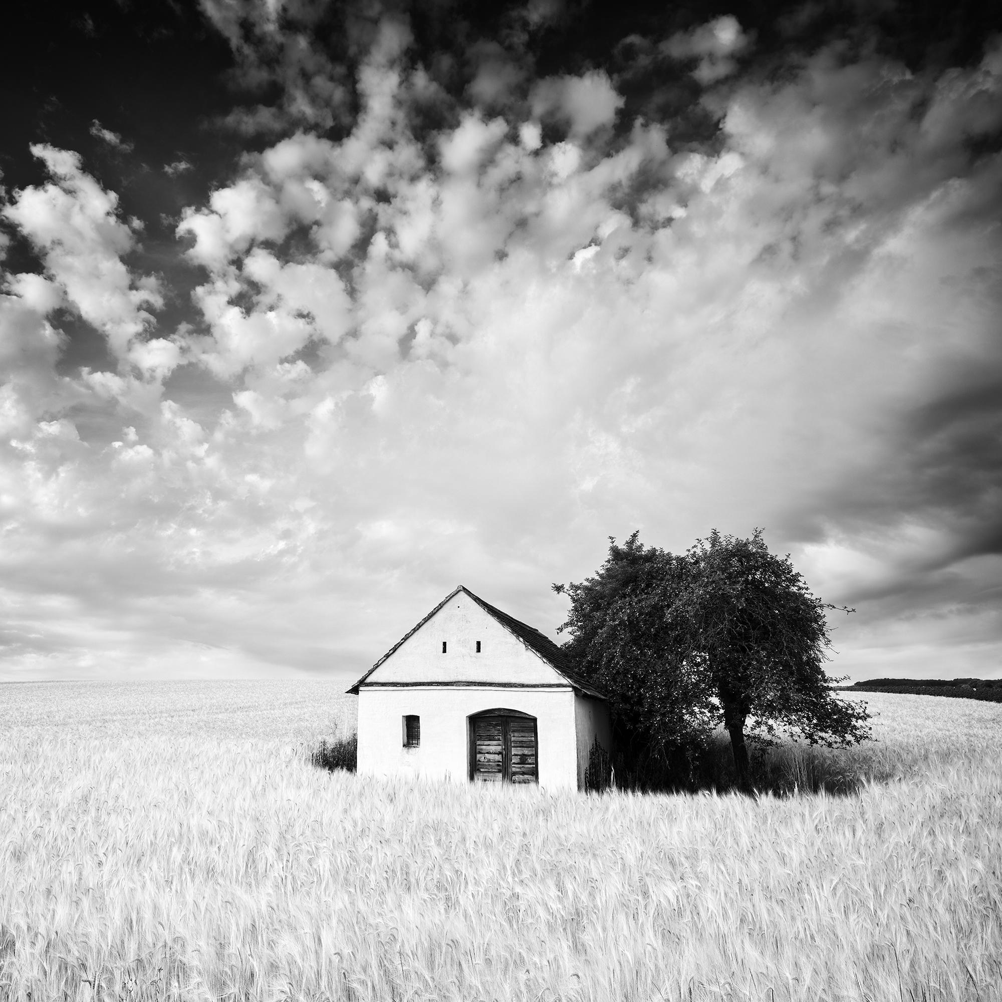 Maison du pressoir, champ de maïs, photographie en noir et blanc, tirage en édition limitée en vente 6