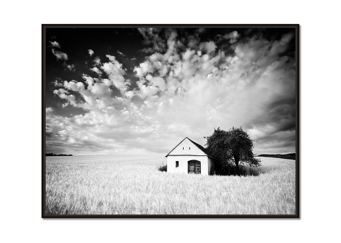 Wine Press House, Cornfield, Schwarz-Weiß-Fotografie, Druck in limitierter Auflage – Photograph von Gerald Berghammer
