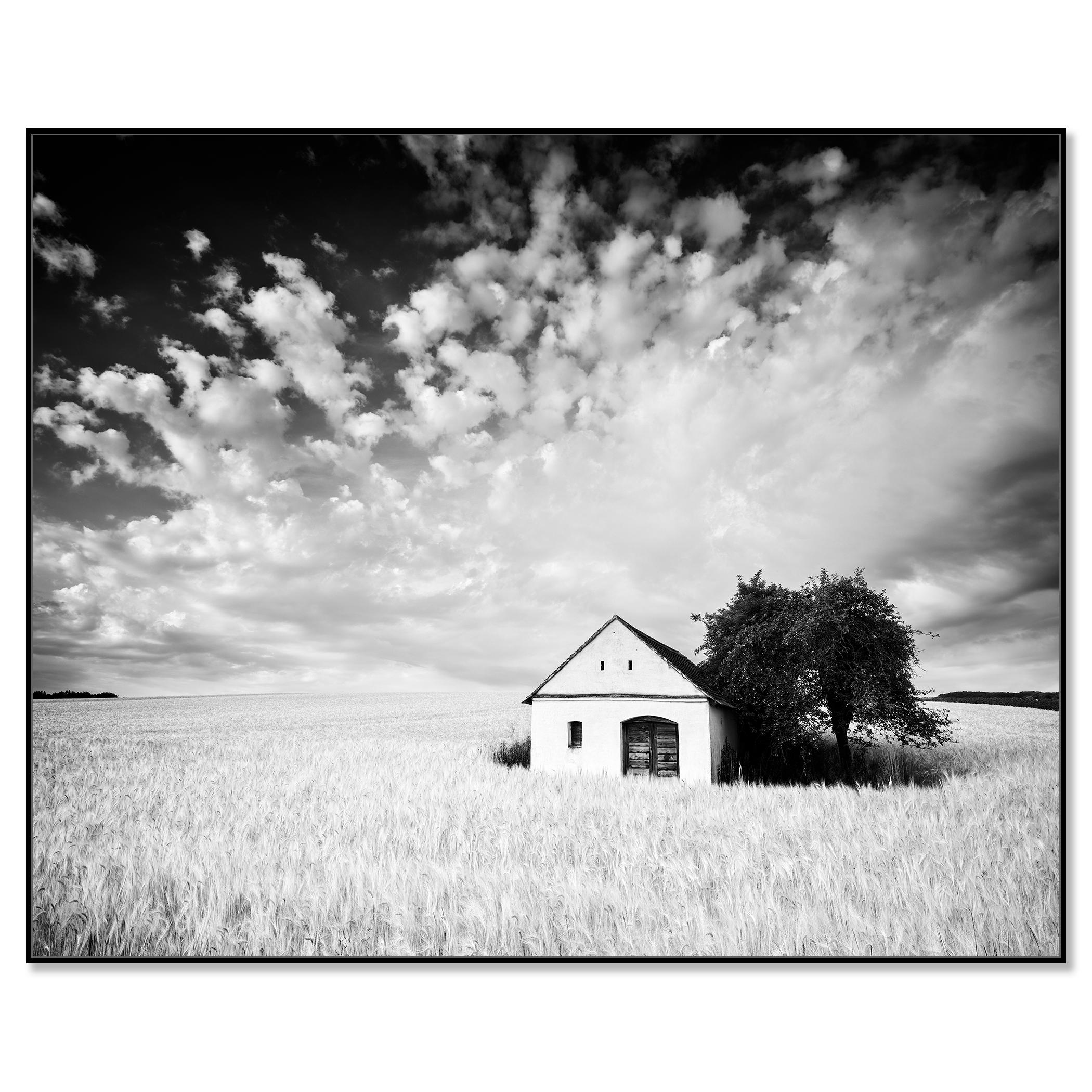 Maison du pressoir, champ de maïs, photographie en noir et blanc, tirage en édition limitée - Contemporain Photograph par Gerald Berghammer
