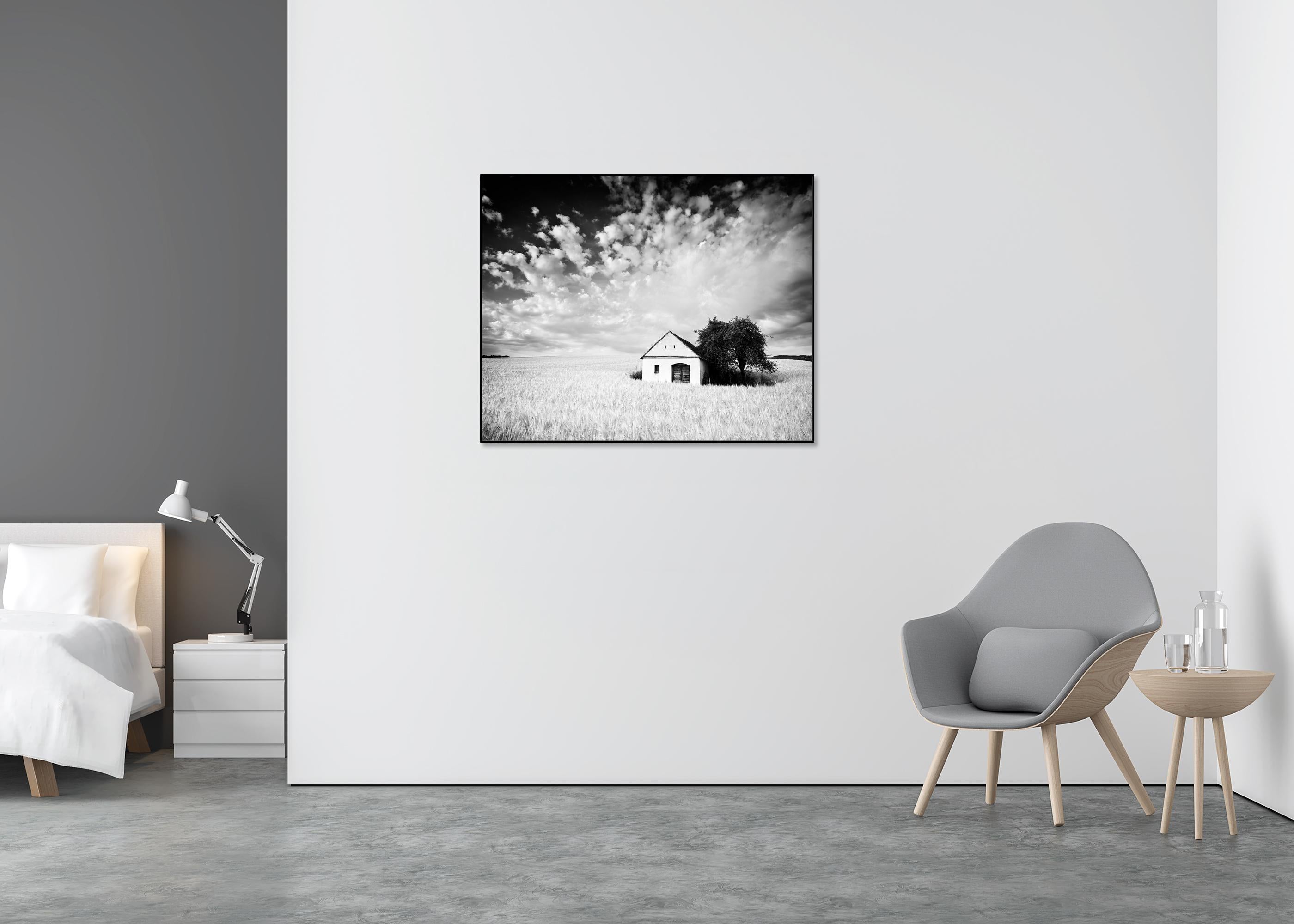 Maison du pressoir, champ de maïs, photographie en noir et blanc, tirage en édition limitée - Gris Landscape Photograph par Gerald Berghammer