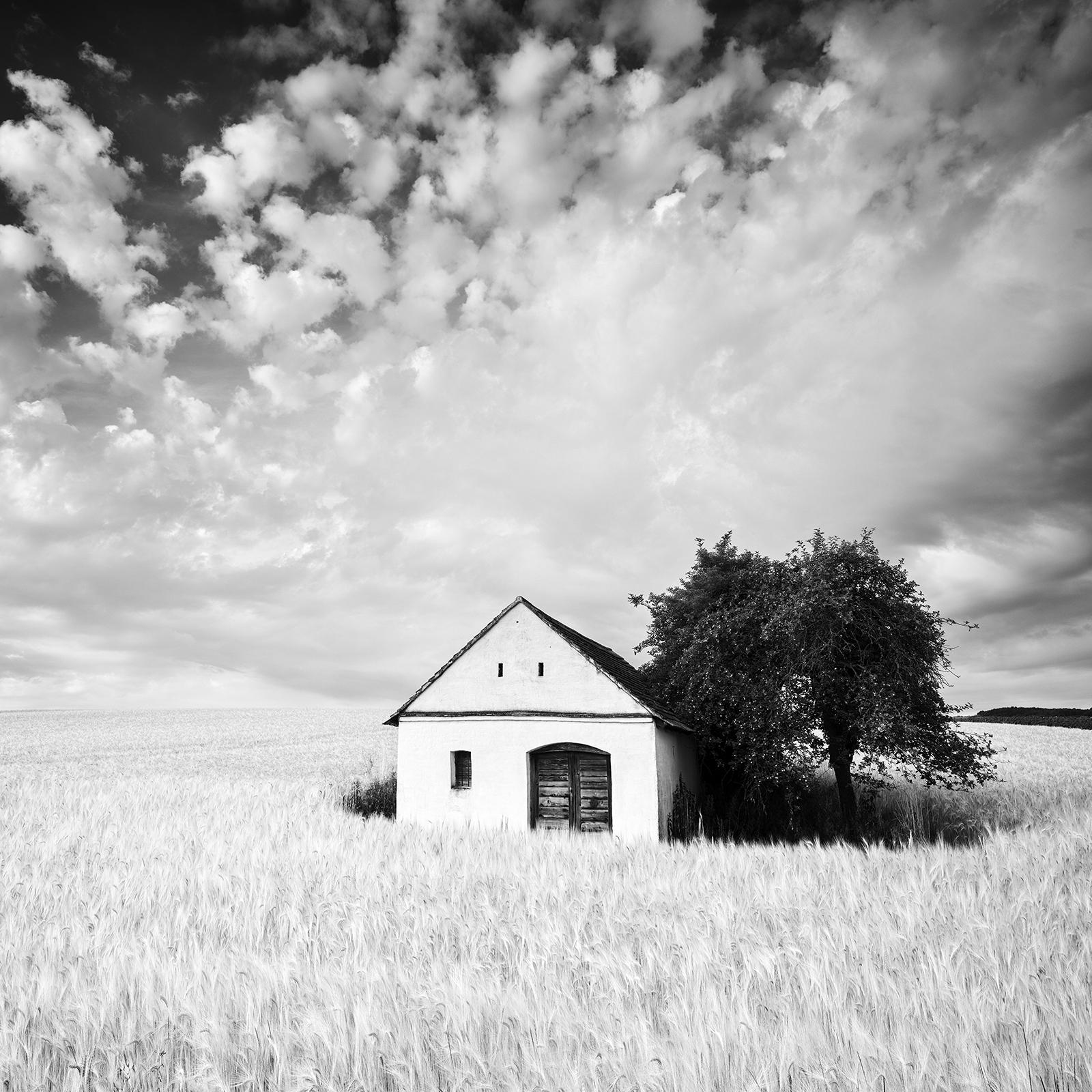 Wine Press House, Cornfield, Schwarz-Weiß-Fotografie, Druck in limitierter Auflage im Angebot 3