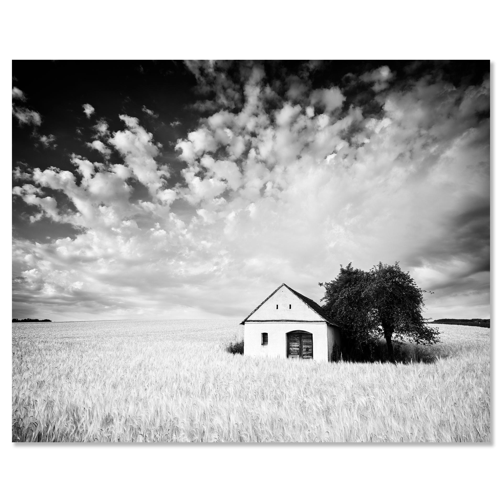 Maison du pressoir, champ de maïs, photographie en noir et blanc, tirage en édition limitée en vente 3