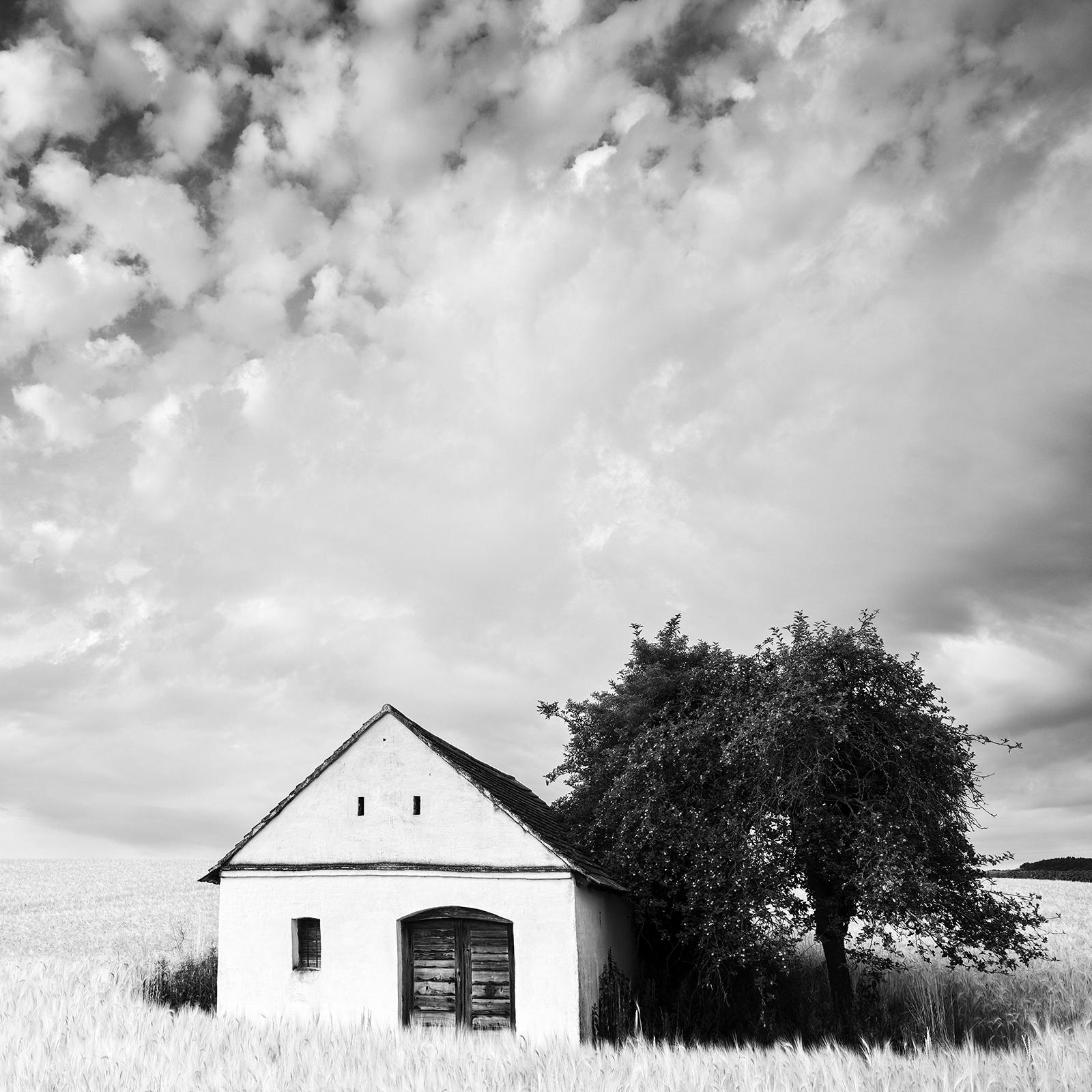 Wine Press House, Cornfield, Schwarz-Weiß-Fotografie, Druck in limitierter Auflage im Angebot 4