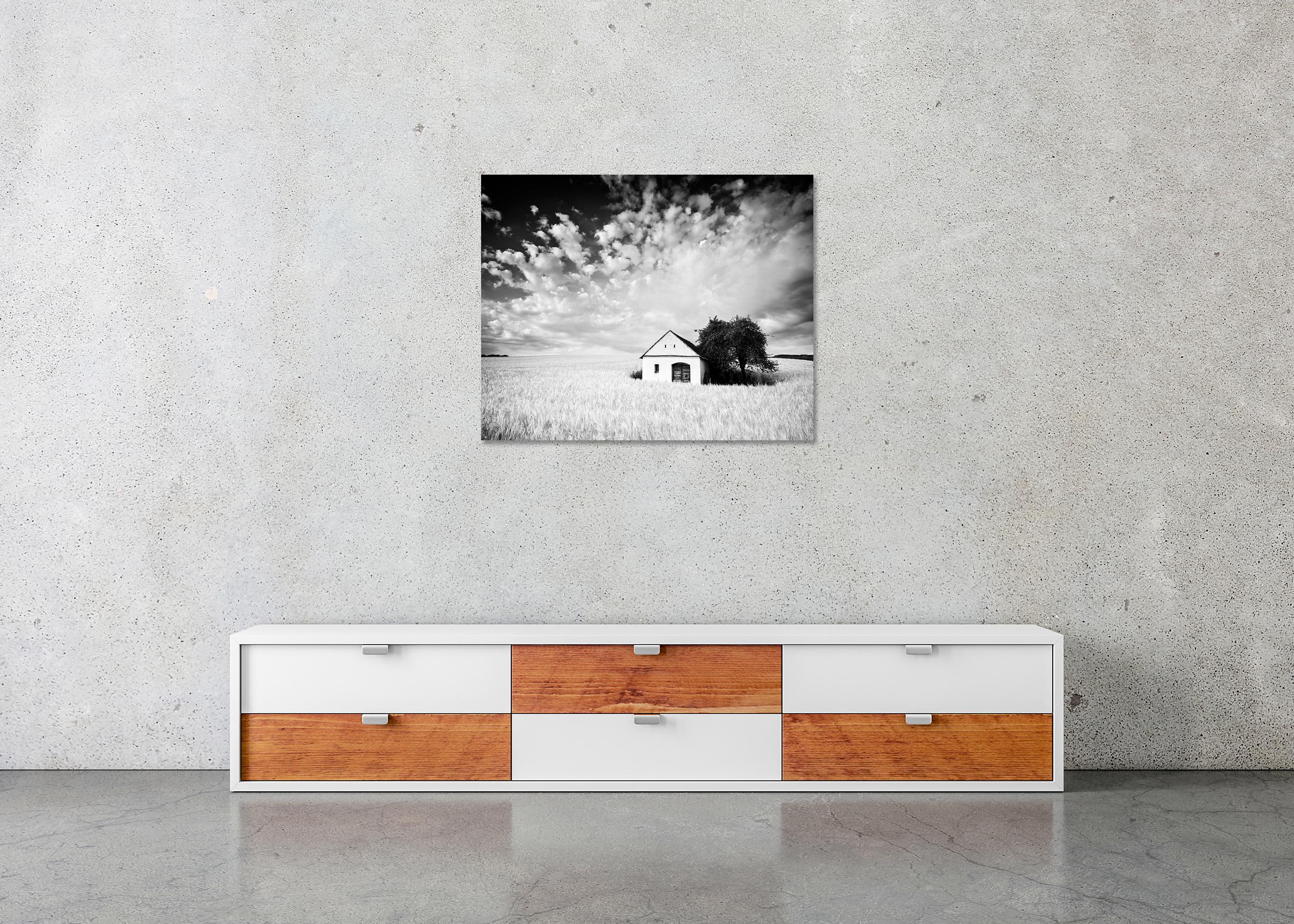 Maison du pressoir, champ de maïs, photographie en noir et blanc, tirage en édition limitée en vente 4