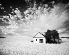 Wine Press House, Cornfield, Schwarz-Weiß-Fotografie, Druck in limitierter Auflage