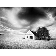 Wine Press House, Campo di grano, fotografia in bianco e nero, paesaggio, limited