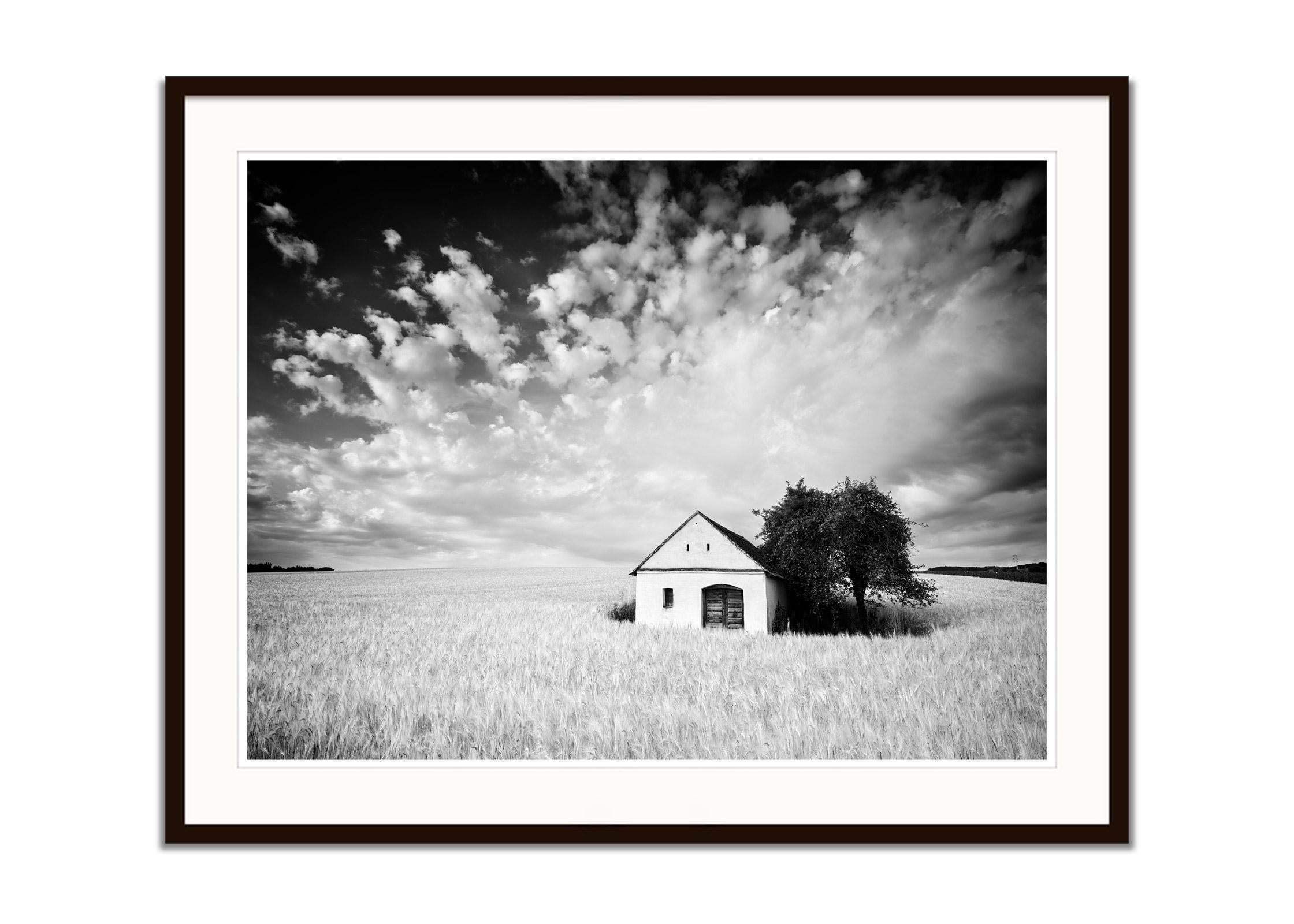 Black and white fine art landscape photography print. Wine press house in wheat field, nice clouds, storm, Austria. Archival pigment ink print, edition of 7. Signed, titled, dated and numbered by artist. Certificate of authenticity included. Printed