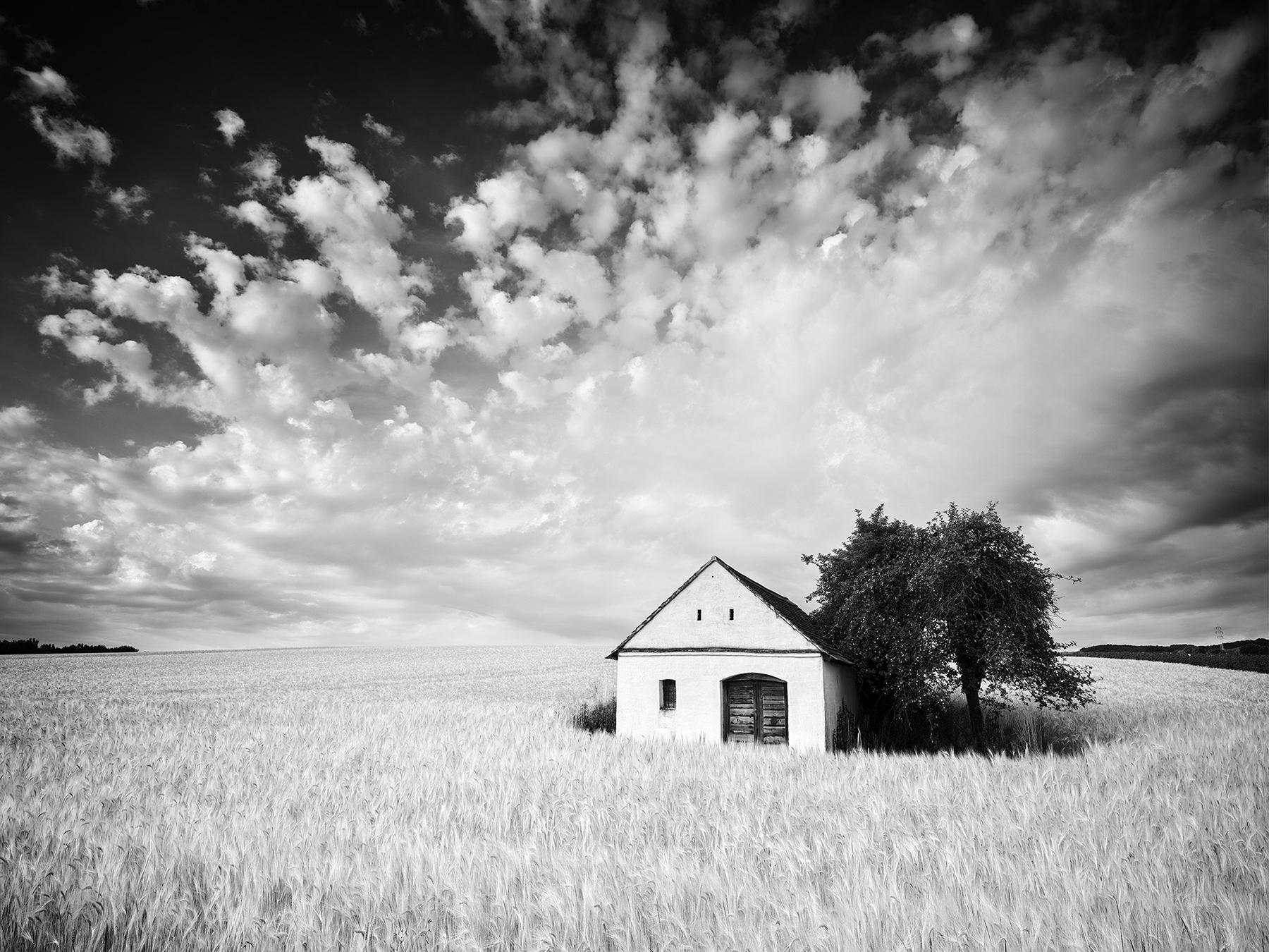 Gerald Berghammer Landscape Photograph - Wine Press House, Cornfield, Tree, black and white landscape art photography 