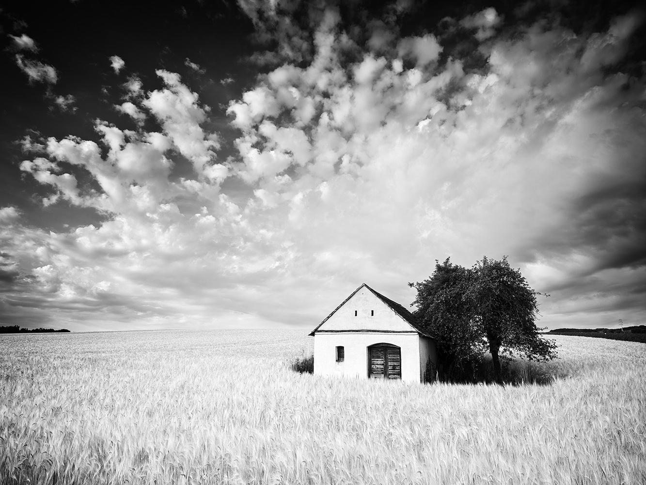 Gerald Berghammer Landscape Photograph – Wine Press House, Cornfield, Schwarz-Weiß-Fotografie, Druck in limitierter Auflage