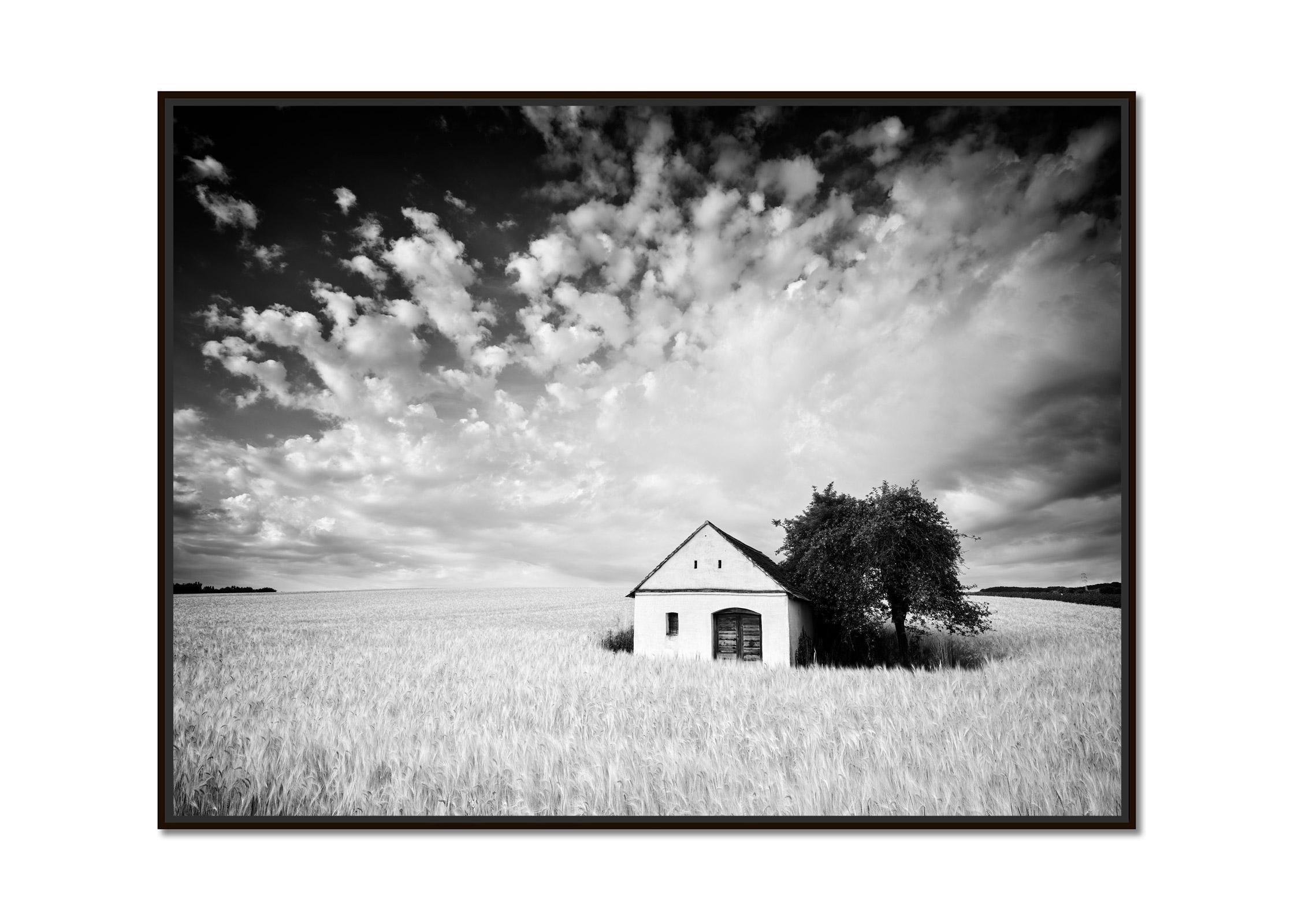 Farm Hut, Cornfield, giant Clouds, black and white photography, landscape, art - Photograph by Gerald Berghammer