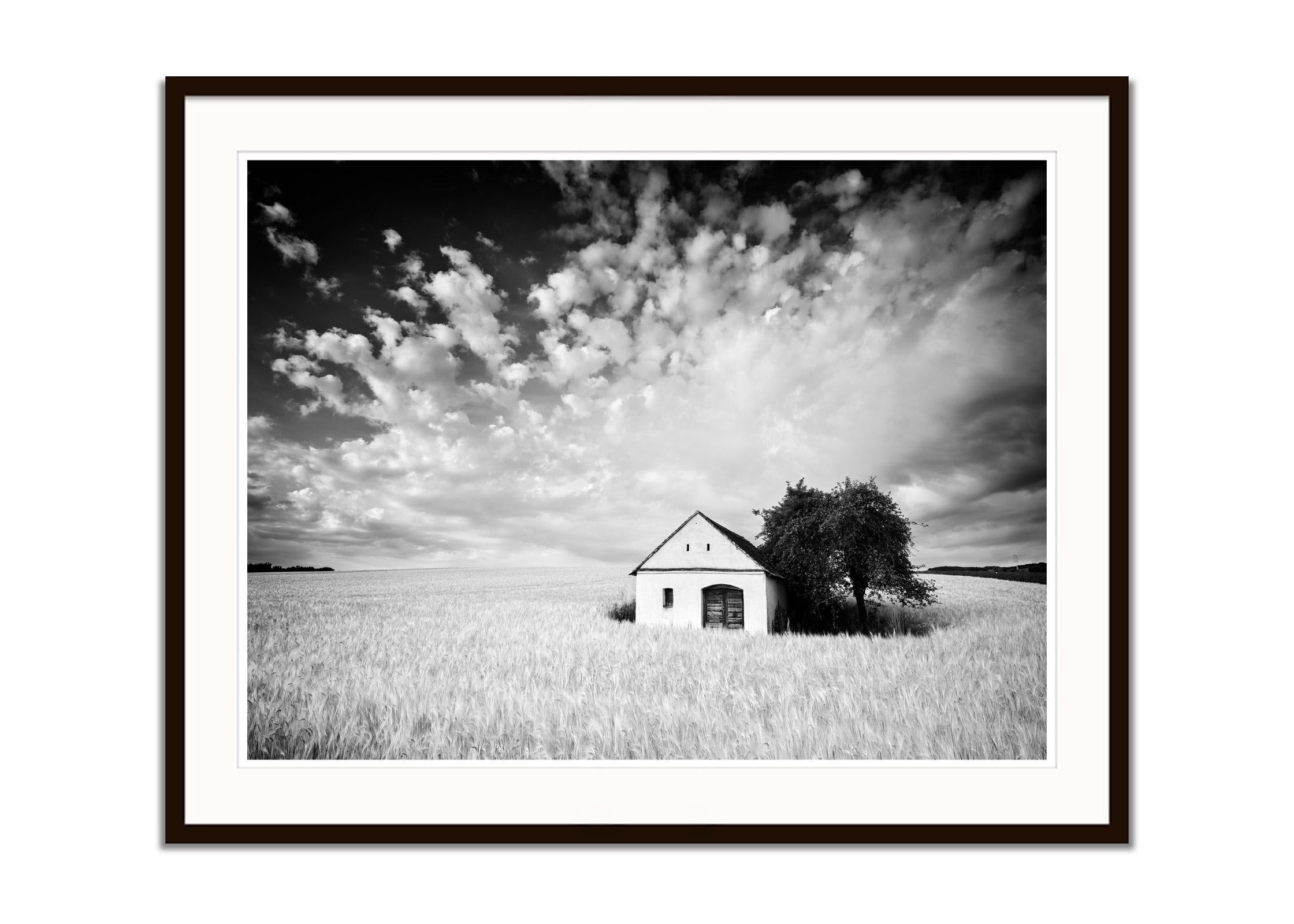 Farm Hut, Cornfield, giant Clouds, black and white photography, landscape, art - Gray Landscape Photograph by Gerald Berghammer