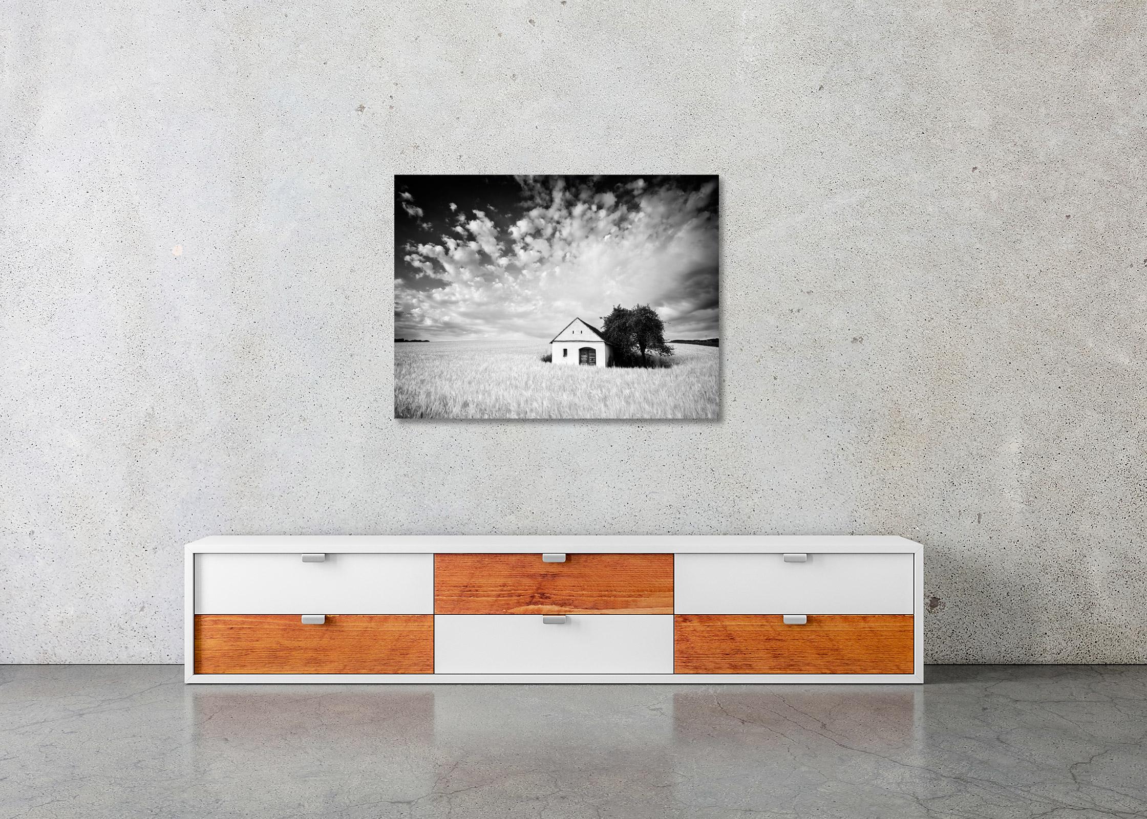 Farm Hut, Cornfield, giant Clouds, black and white photography, landscape, art For Sale 1