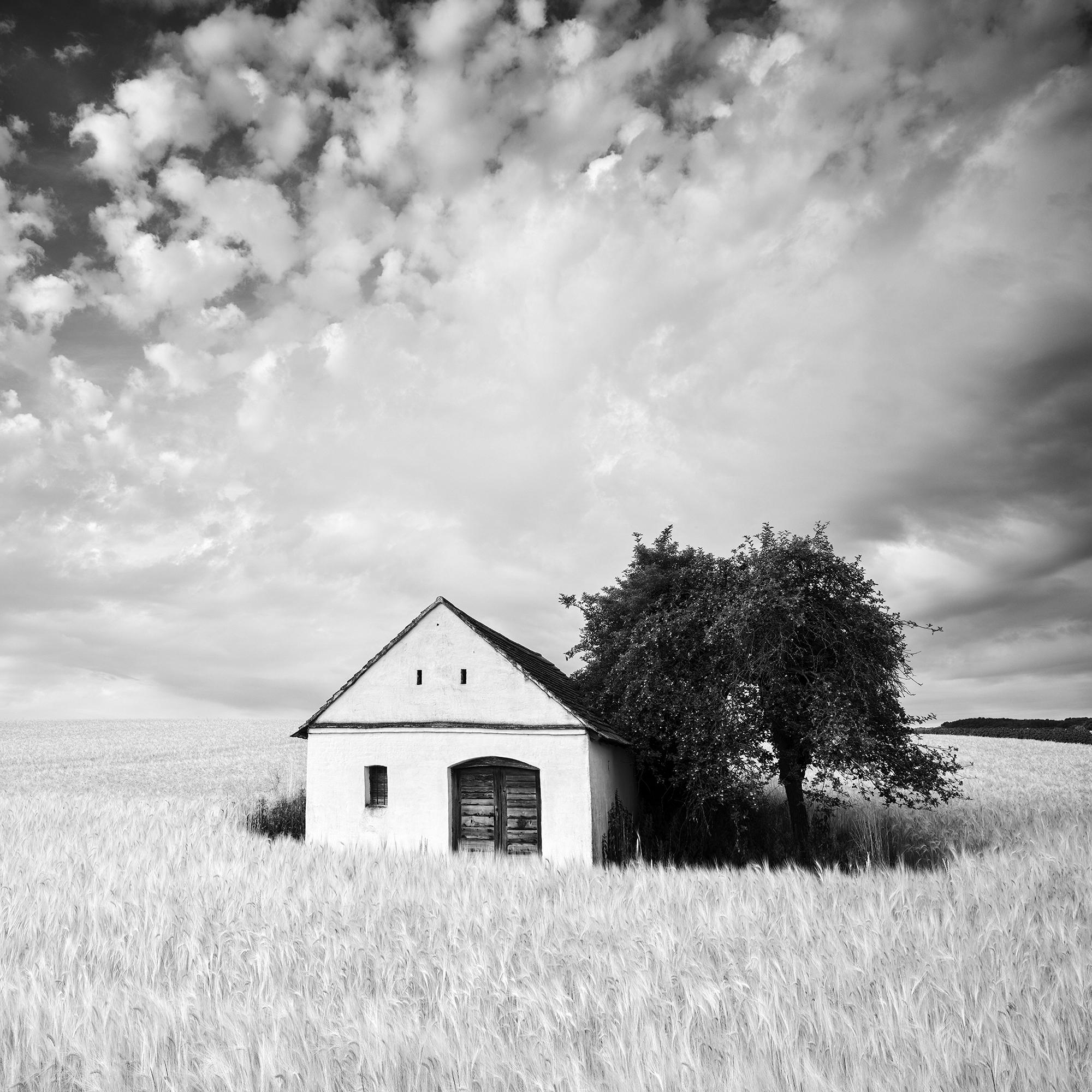 Farm Hut, Cornfield, giant Clouds, black and white photography, landscape, art For Sale 3