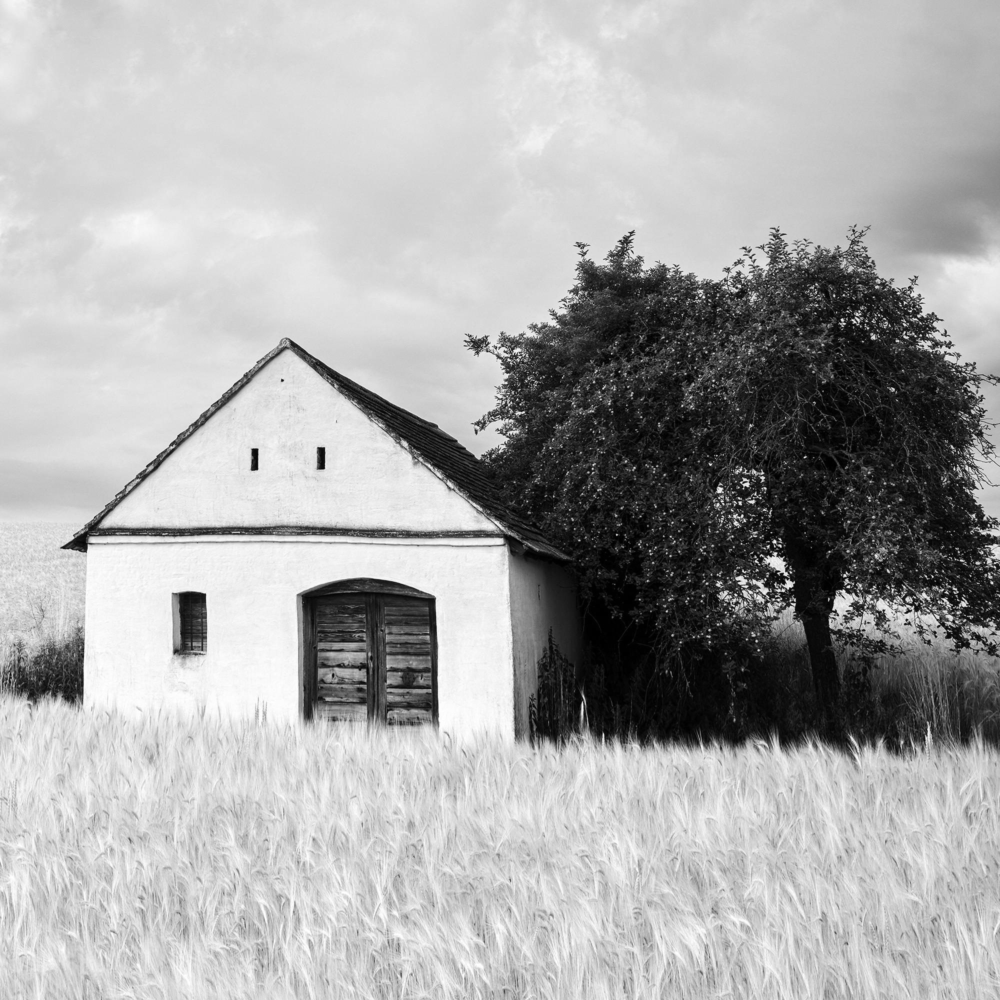 Farm Hut, Cornfield, giant Clouds, black and white photography, landscape, art For Sale 4