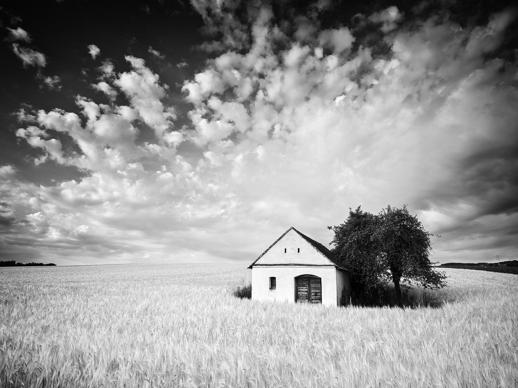 Gerald Berghammer Landscape Photograph - Farm Hut, Cornfield, giant Clouds, black and white photography, landscape, art