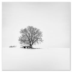 Wine Press House in Snow, Austria, Black-and-White Winter Photography, Limited