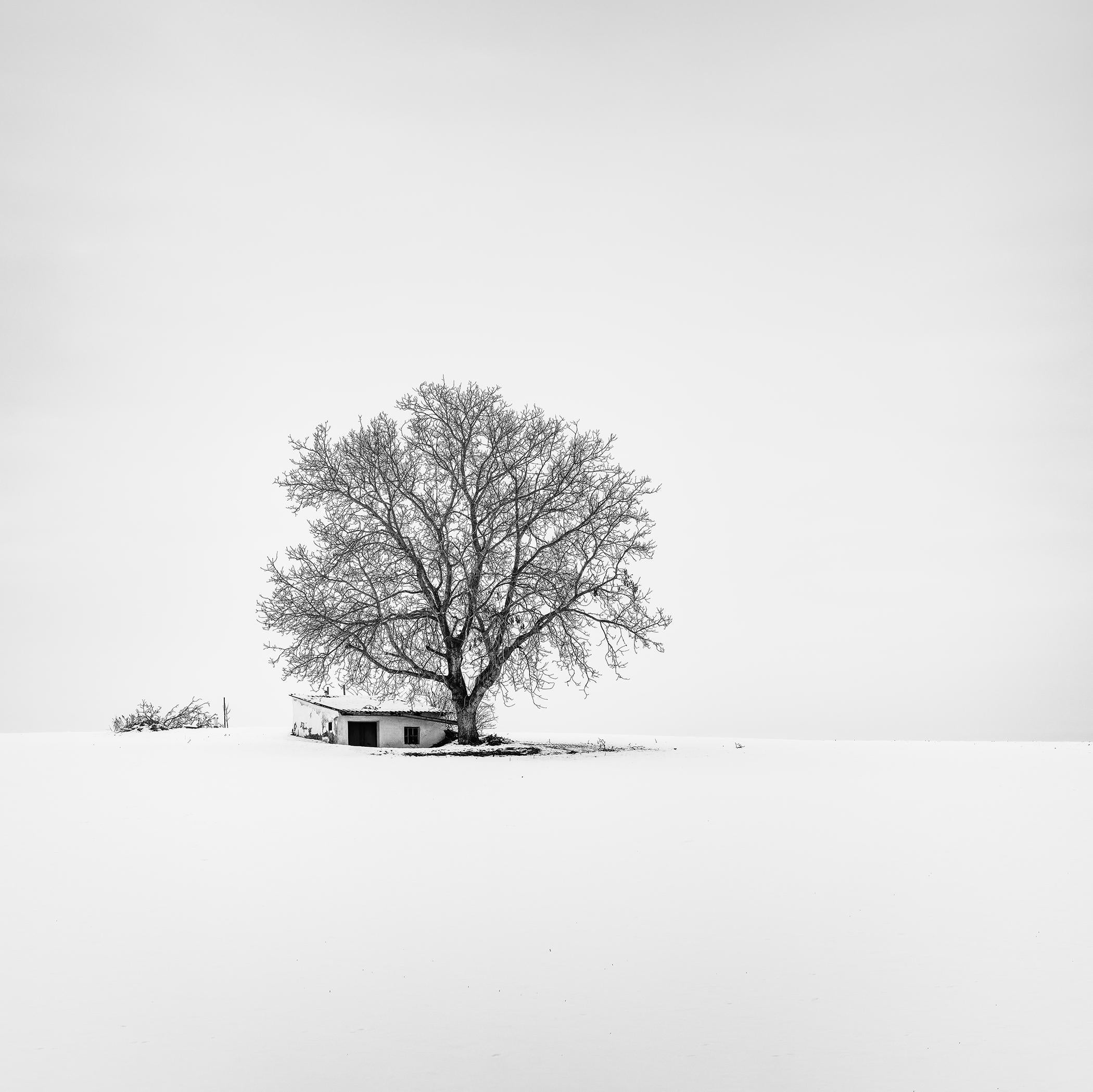 Wine Press House in Snow, Austria, Black-and-White Winter Photography, Limited