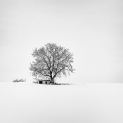 Wine Press House in Snow, Austria, Black-and-White Winter Photography, Limited