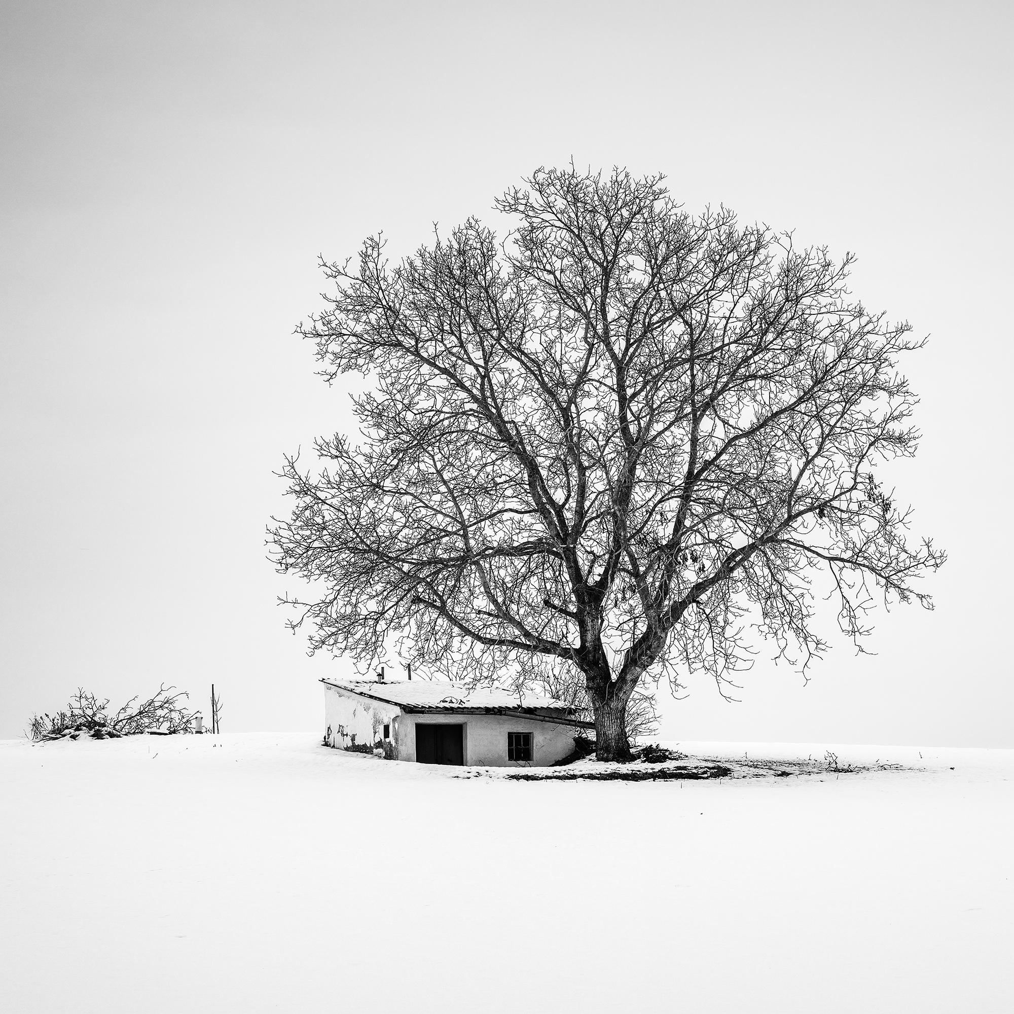 Wine Press House, snow, winter, black and white fine art landscape photography For Sale 2