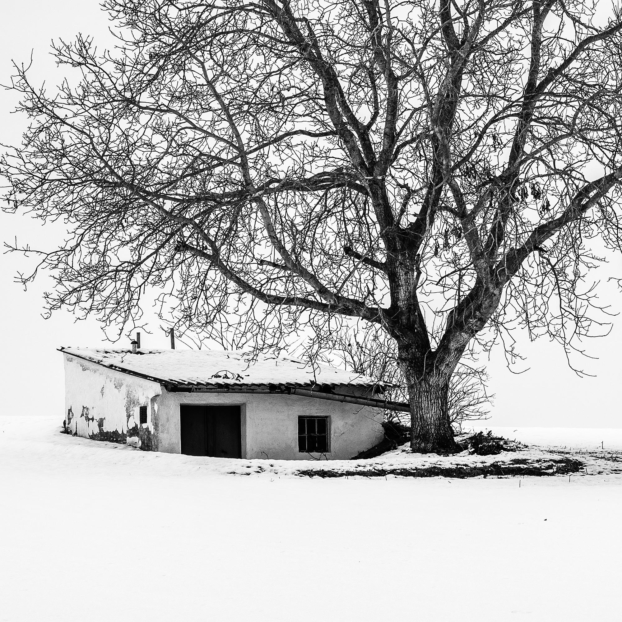Wine Press House, snow, winter, black and white fine art landscape photography For Sale 3