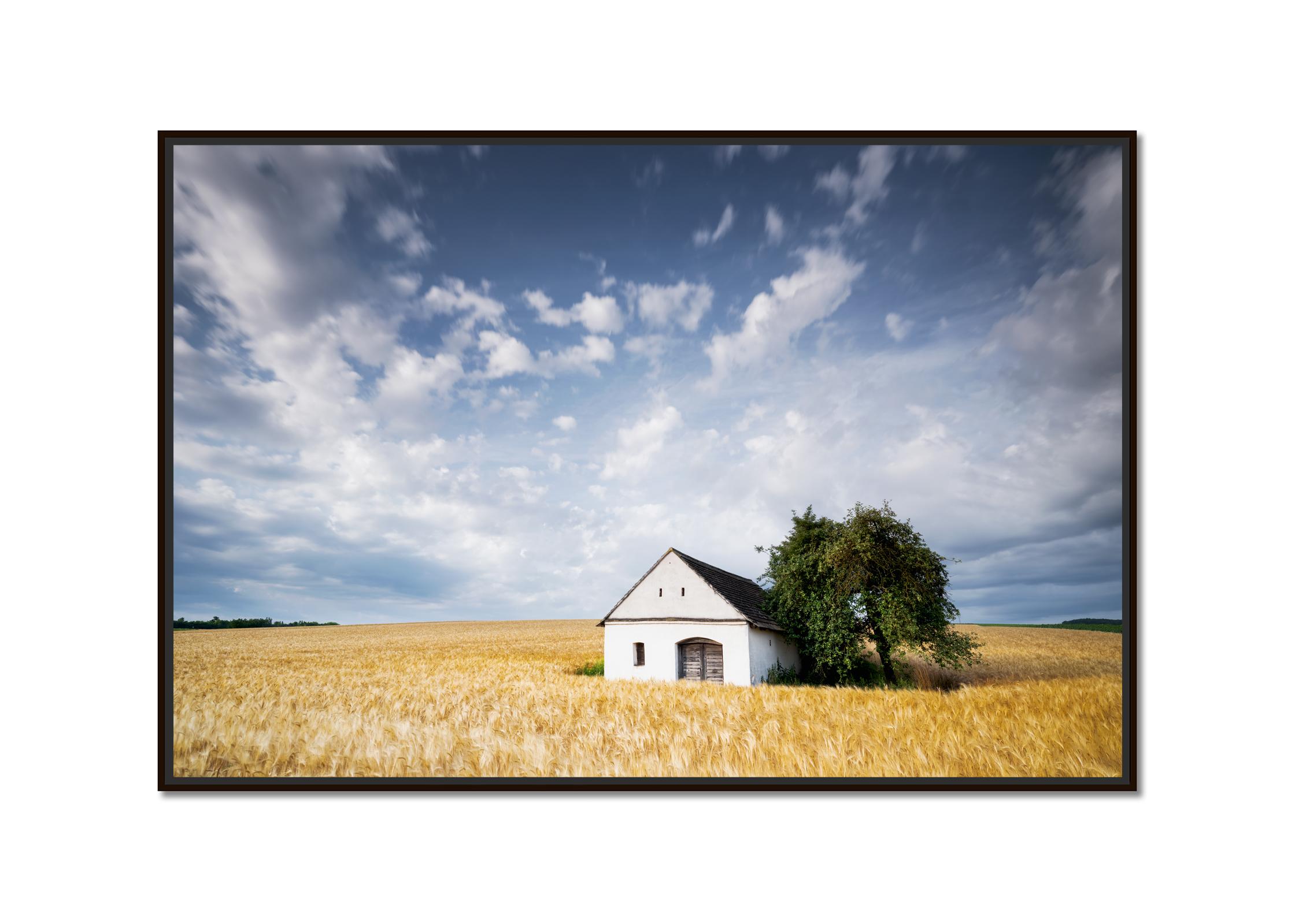 Maison Wine Press House in the Wheat Field, photographie en couleur, paysage - Photograph de Gerald Berghammer