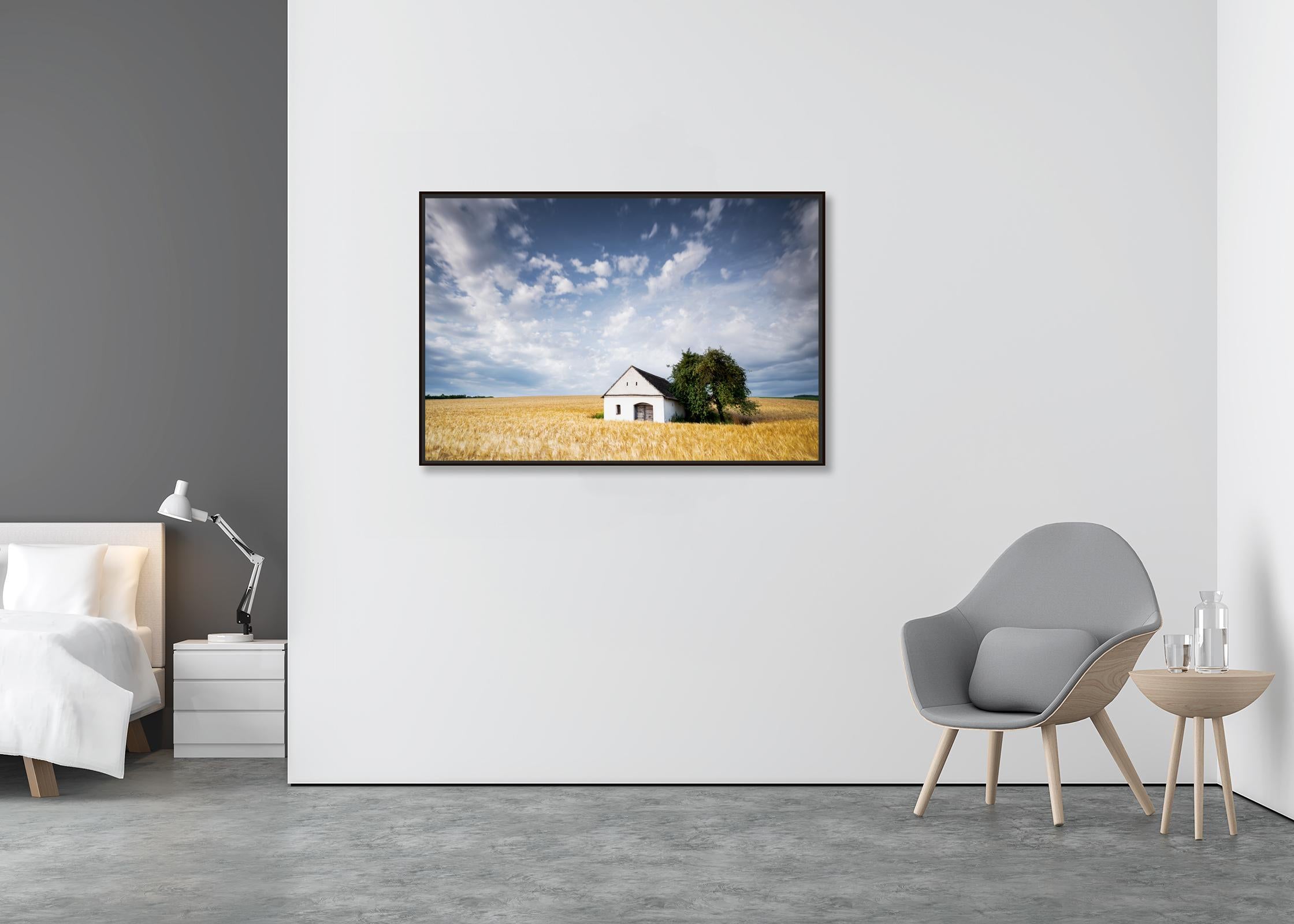 Maison Wine Press House in the Wheat Field, photographie en couleur, paysage - Contemporain Photograph par Gerald Berghammer