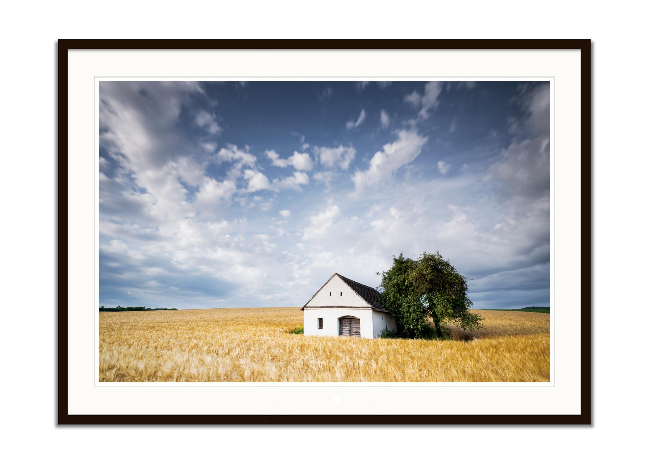 Maison Wine Press House in the Wheat Field, photographie en couleur, paysage - Gris Landscape Photograph par Gerald Berghammer