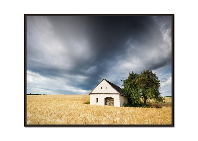 Wine Press House in the wheat field, Austria, Colour art photography, landscape - Photograph by Gerald Berghammer