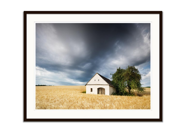 Wine Press House in the wheat field, Austria, Colour art photography, landscape - Gray Color Photograph by Gerald Berghammer