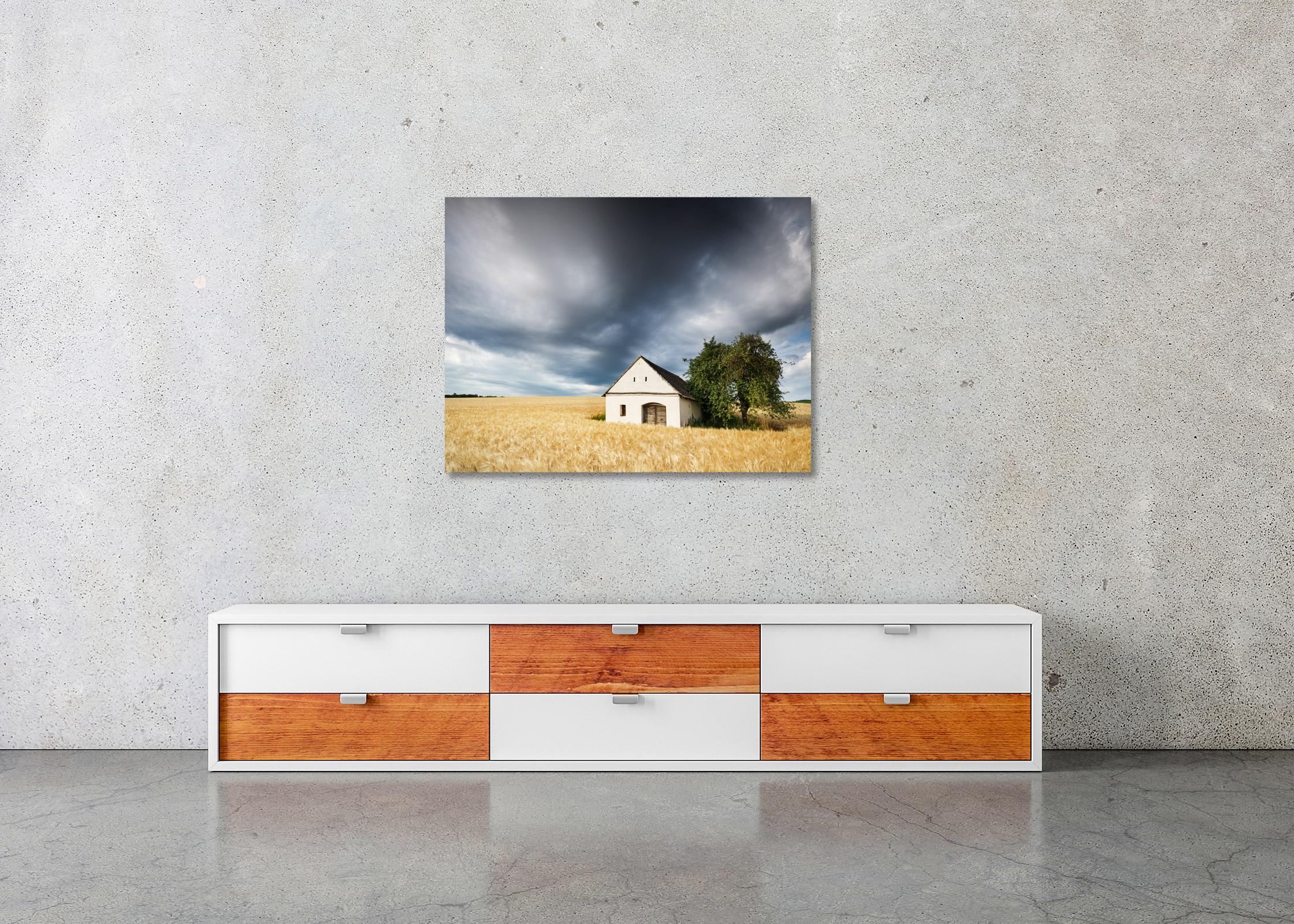 Wine Press House in the wheat field, Austria, Colour art photography, landscape - Gray Landscape Photograph by Gerald Berghammer