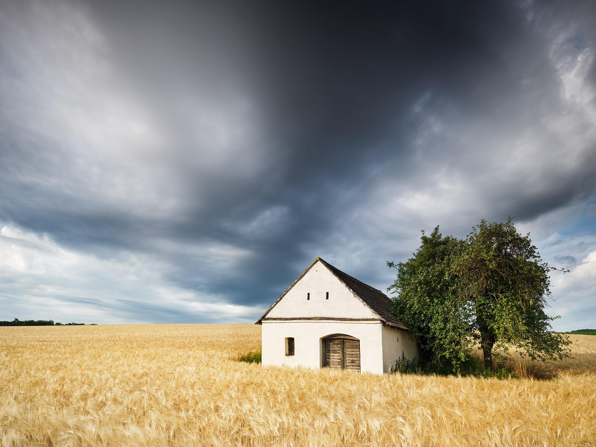 Wine Press House in the wheat field, Austria, Colour art photography, landscape