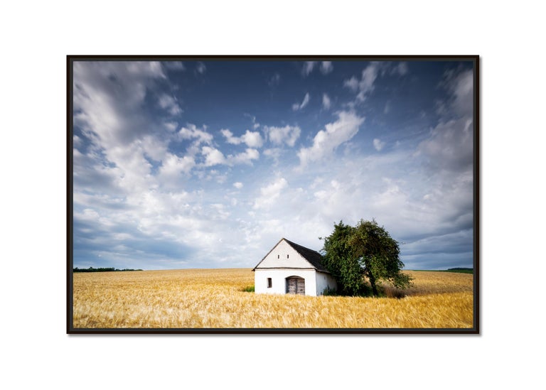 Wine Press House in the wheat field, Austria, Fine Art photography, landscape - Photograph by Gerald Berghammer