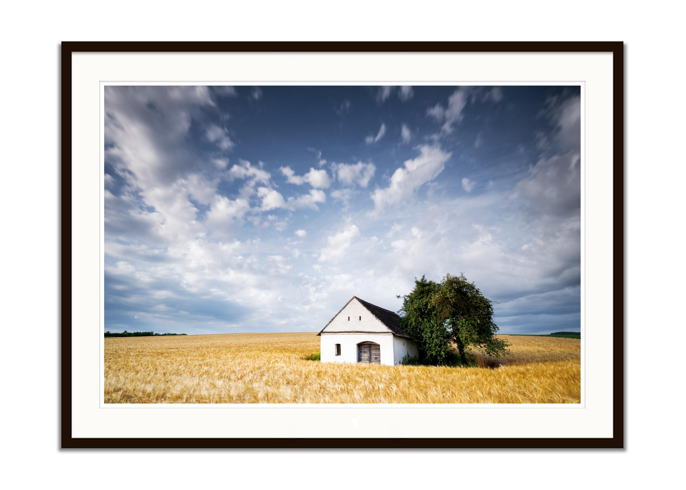 Maison de presse à vin dans le champ du blé, Autriche, photographie d'art, paysage - Gris Landscape Photograph par Gerald Berghammer