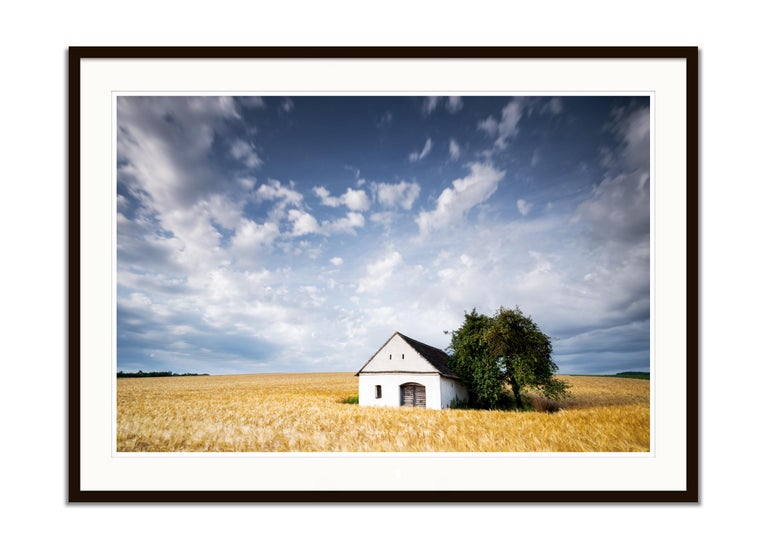 Wine Press House in the wheat field, Austria, Fine Art photography, landscape - Gray Landscape Photograph by Gerald Berghammer