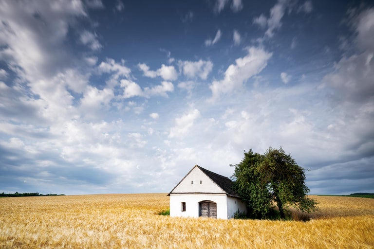 Gerald Berghammer Landscape Photograph - Wine Press House in the wheat field, Austria, Fine Art photography, landscape