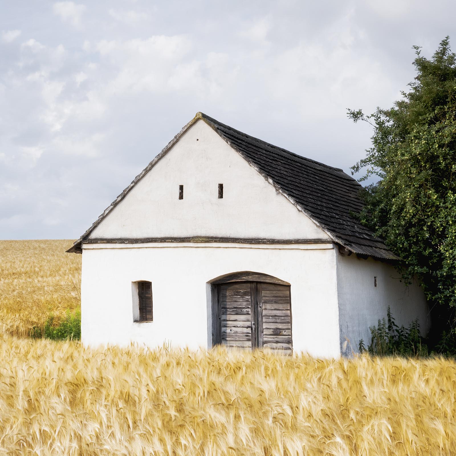 Maison Wine Press House in the Wheat Field, photographie en couleur, paysage en vente 5