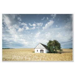 Wine Press House in the Wheat Field, Farbfotografie, Landschaft