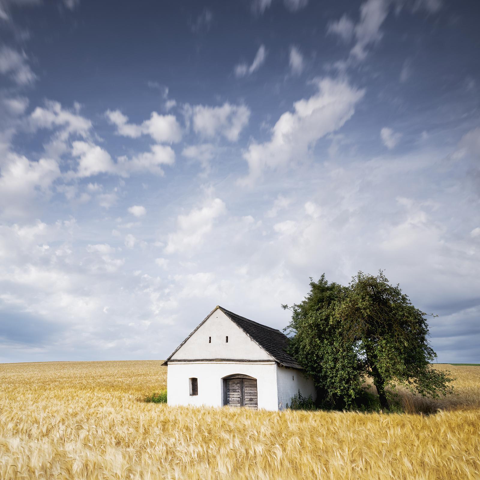 Maison Wine Press House in the Wheat Field, photographie en couleur, paysage en vente 3