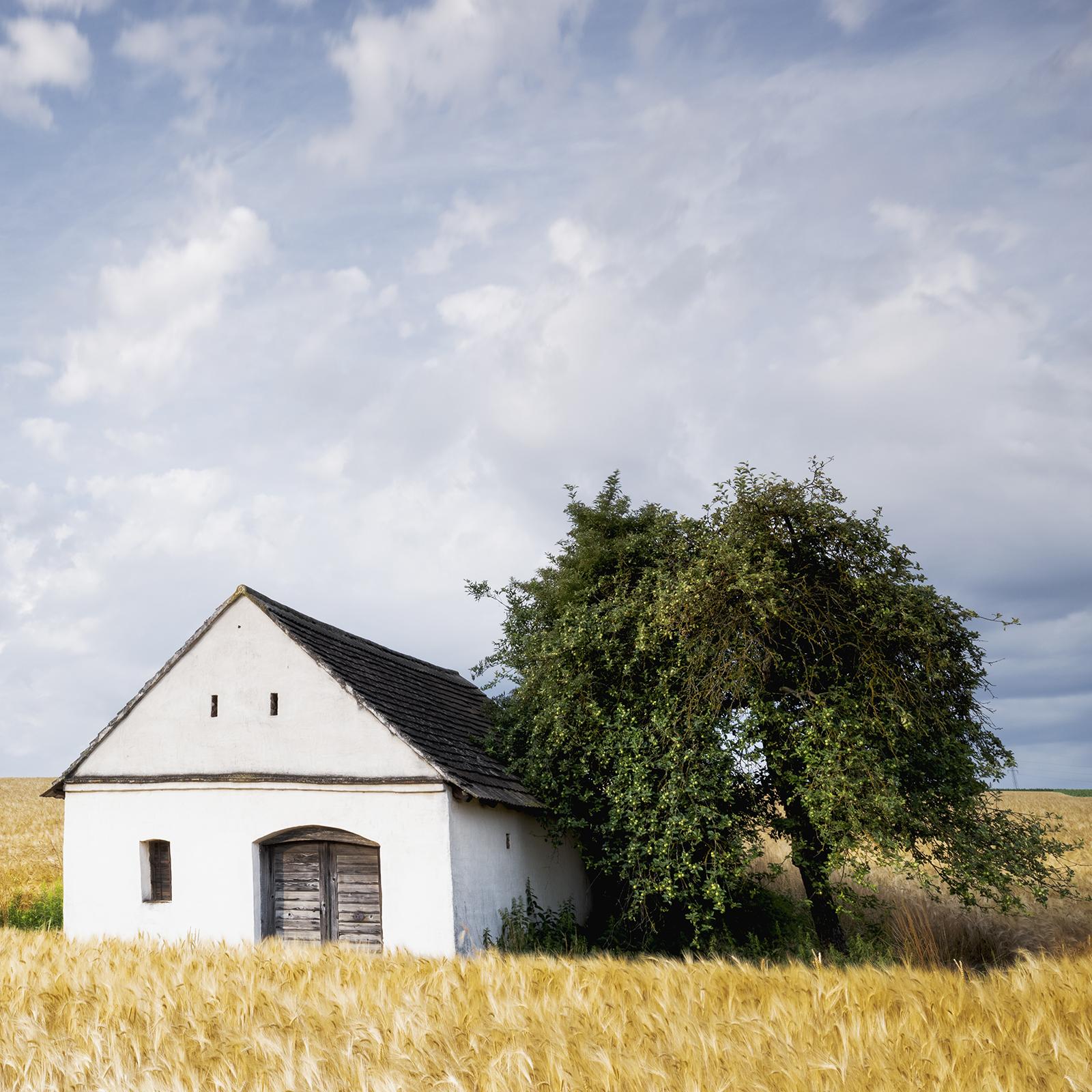 Maison Wine Press House in the Wheat Field, photographie en couleur, paysage en vente 4