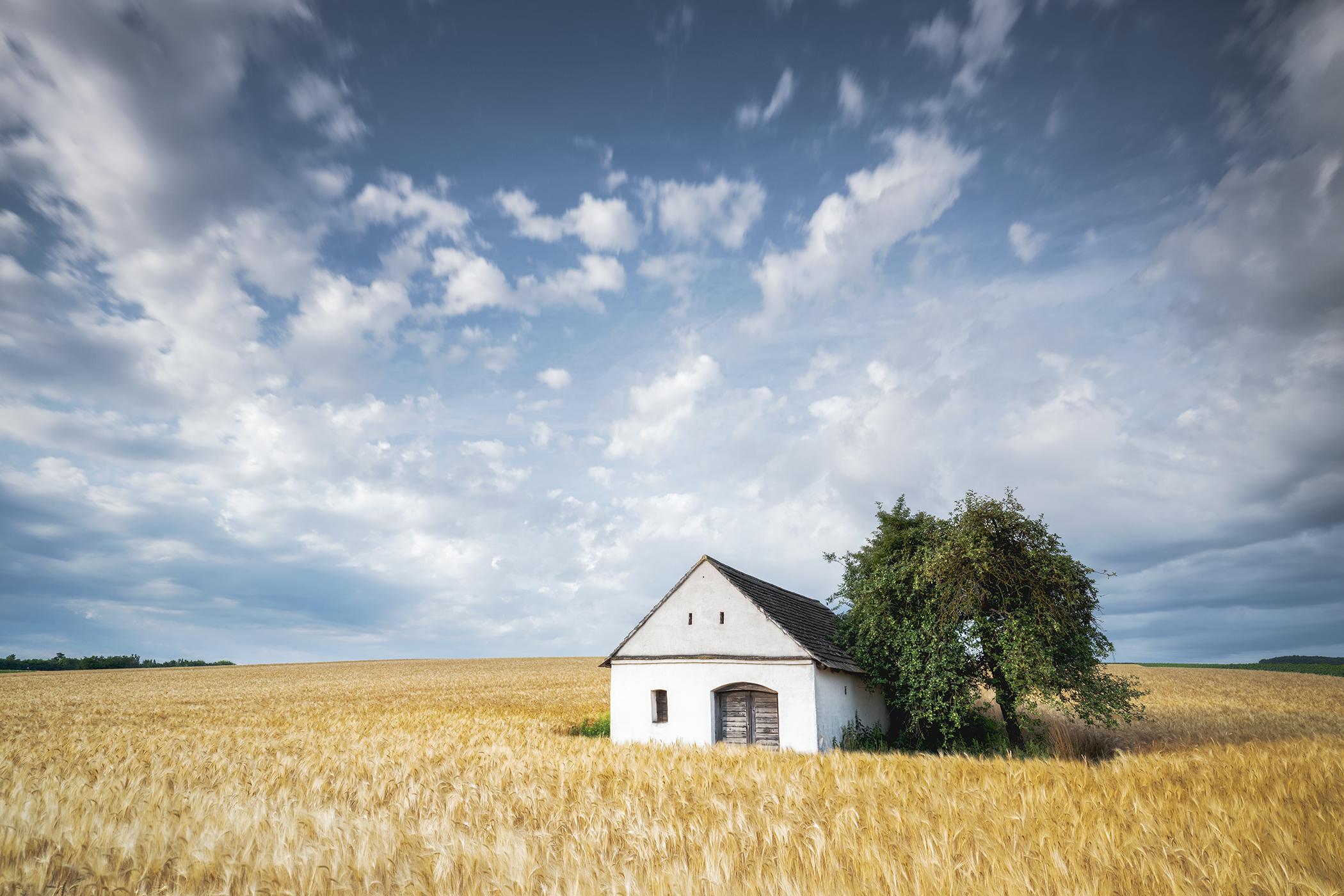 Wine Press House in the Wheat Field, color photography, landscape