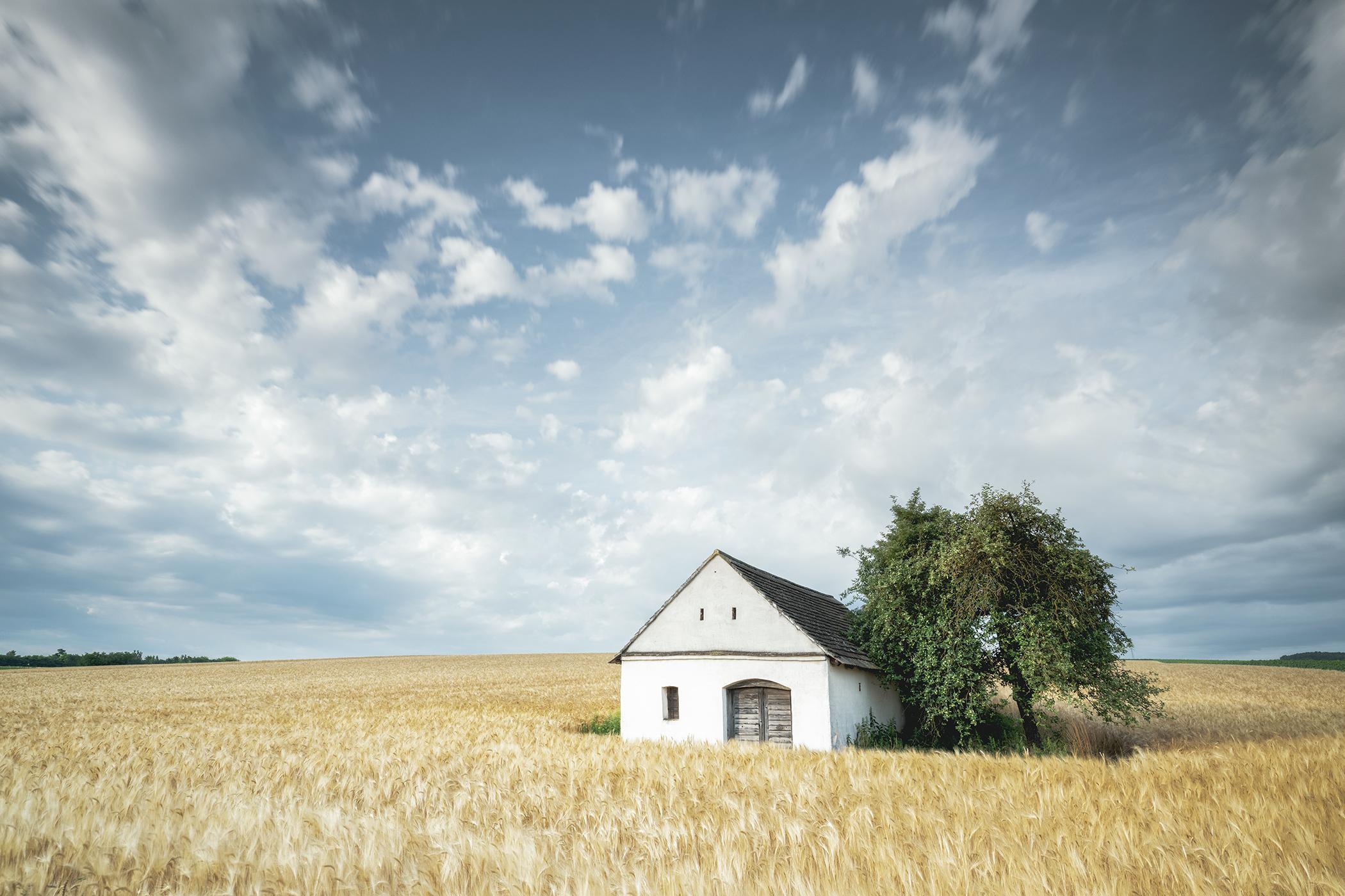 Wine Press House in the Wheat Field, Farbfotografie, Landschaft