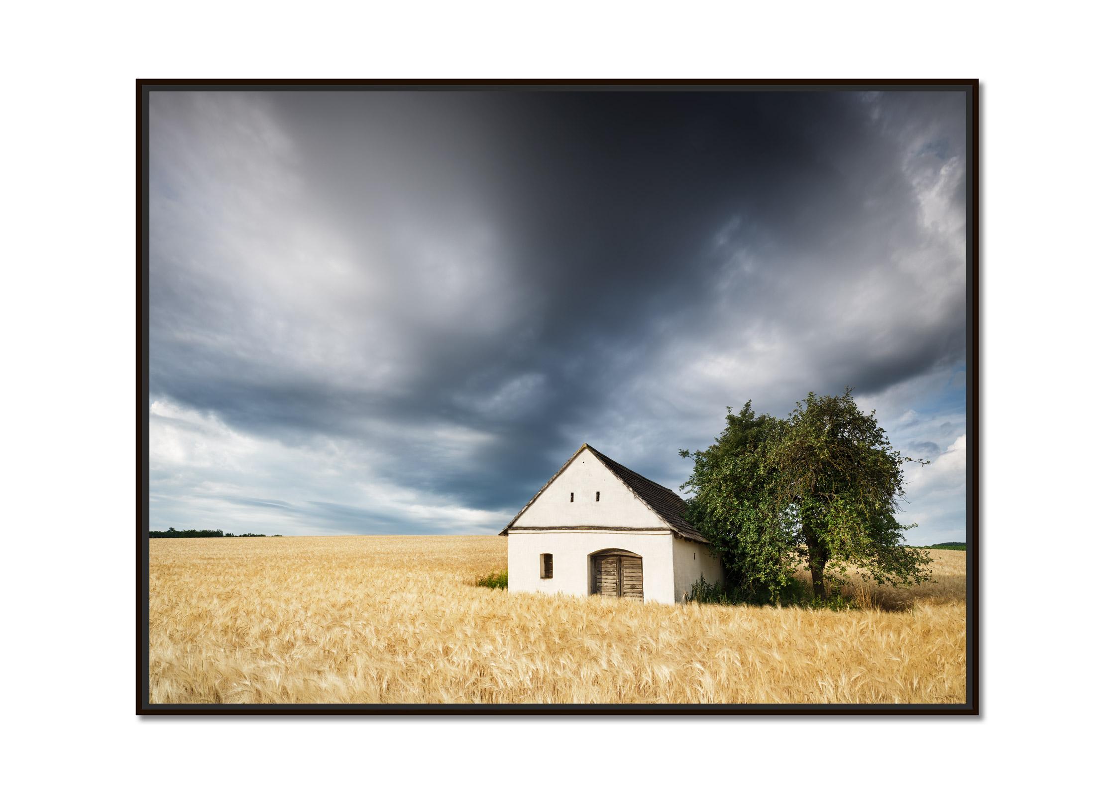 Wine Press House in the Wheat Field, color photography, landscape, limited - Photograph by Gerald Berghammer