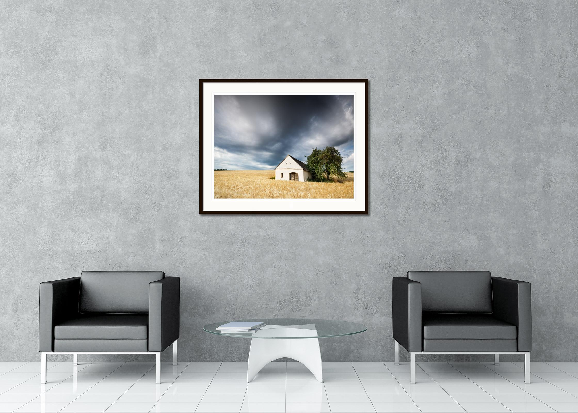 house in field