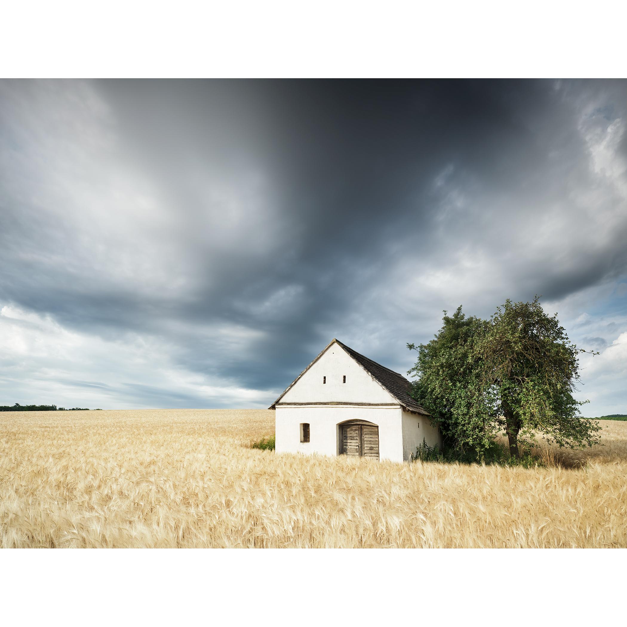 Wine Press House in the Wheat Field, Limited Edition Color Landscape Photograph