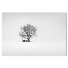 La cantina d’inverno – Foto minimalista in bianco e nero – Edizione limitata
