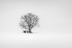 La cantina d’inverno – Foto minimalista in bianco e nero – Edizione limitata