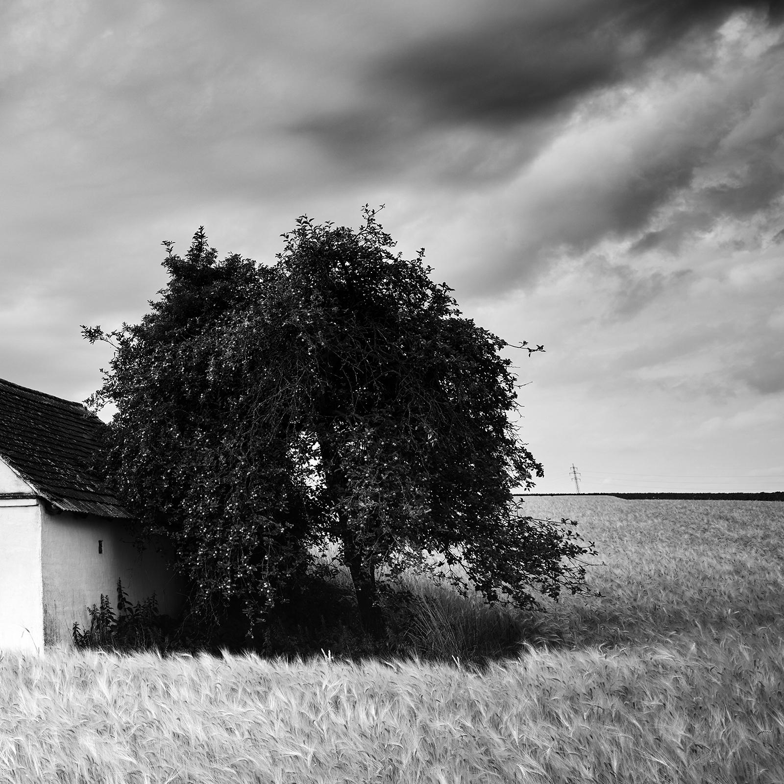 Wine Press House Panorama, Farmland, black and white photography, art landscape For Sale 6