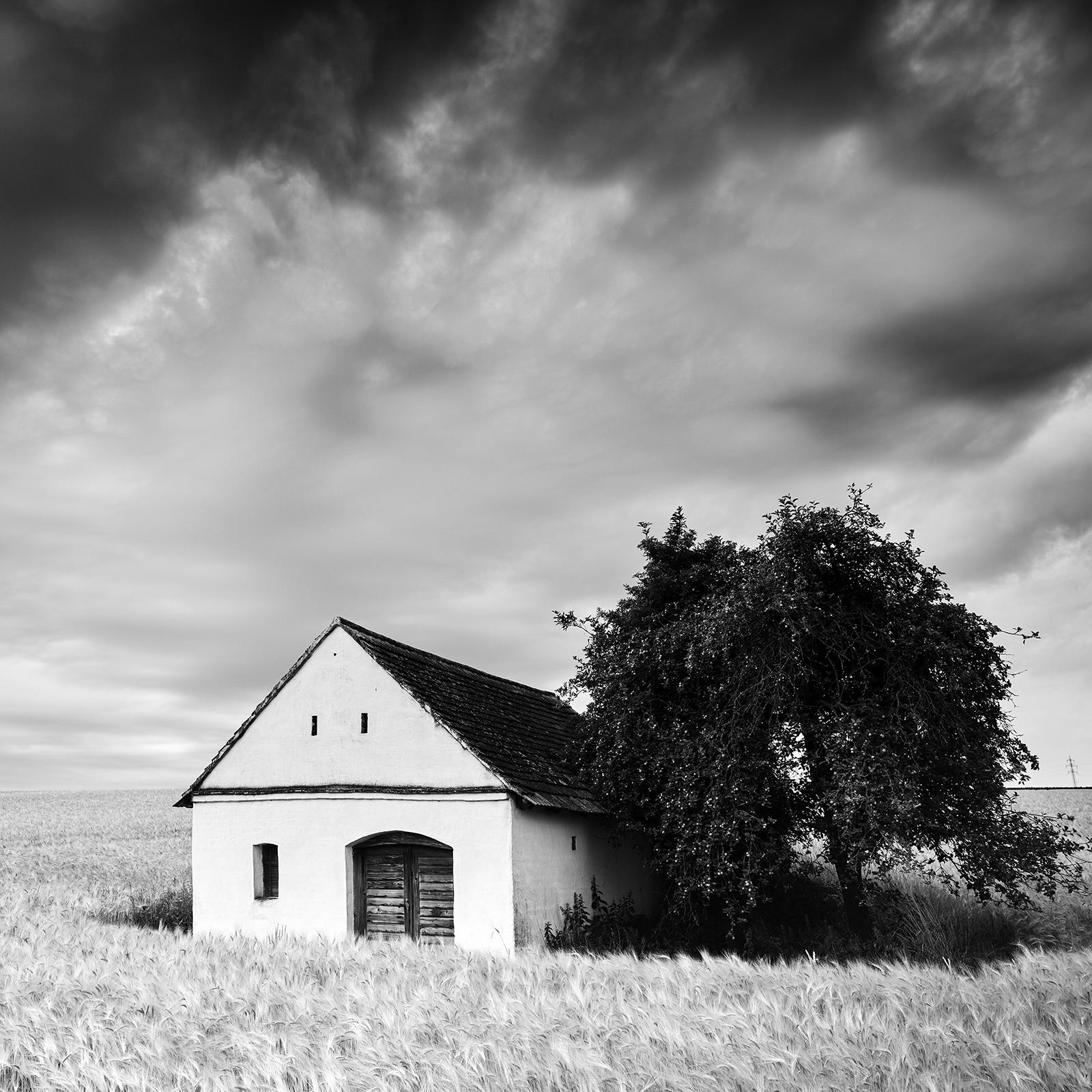 Wine Press House Panorama, Farmland, black and white photography, art landscape For Sale 4