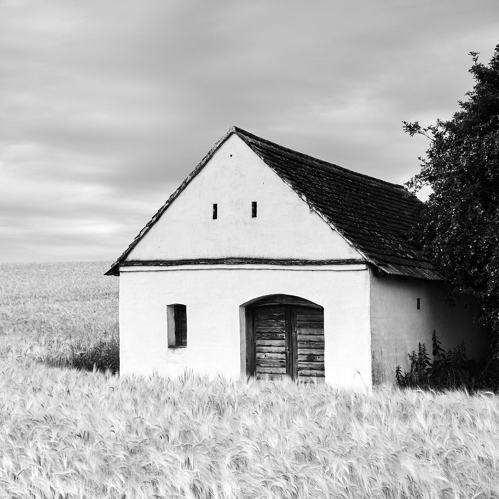 Wine Press House Panorama, Farmland, black and white photography, art landscape For Sale 5